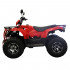 Квадроцикл IRBIS ATV250 PREMIUM в Ярославле