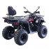 Квадроцикл IRIDE ROVER 200 L  в Ярославле
