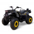 Квадроцикл MOTAX GRIZLIK W200  в Ярославле
