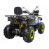 Квадроцикл Motoland WILD TRACK X WINCH 200  в Ярославле